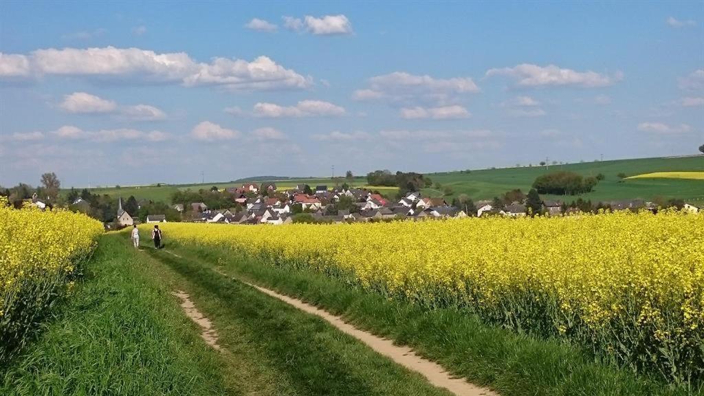 Ferienwohnung Maifeld Wierschem Dış mekan fotoğraf