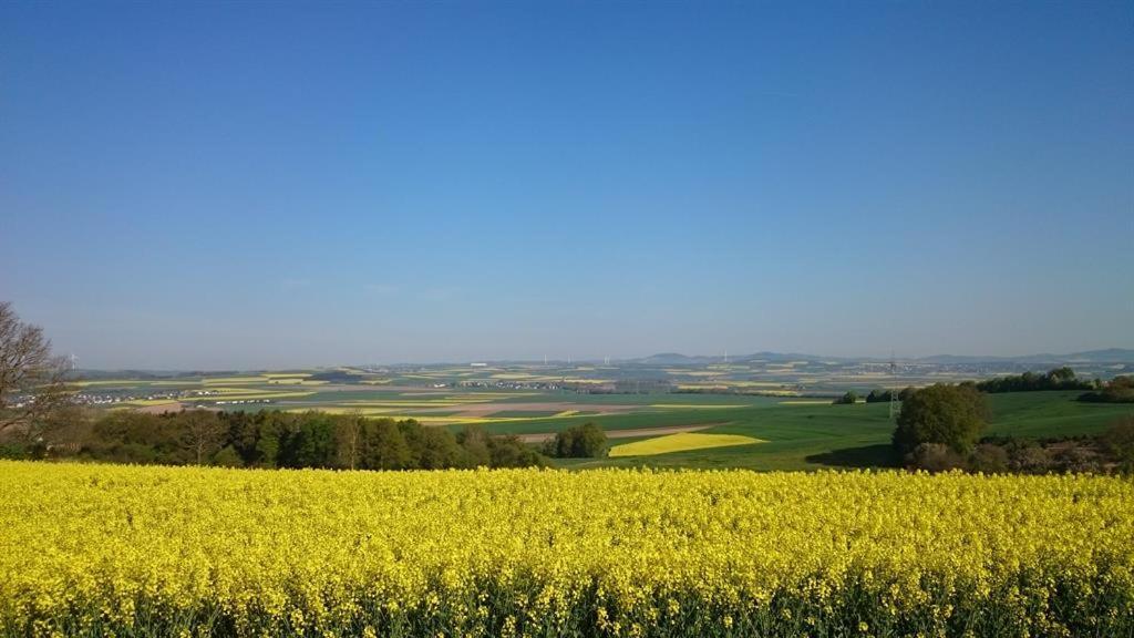 Ferienwohnung Maifeld Wierschem Dış mekan fotoğraf